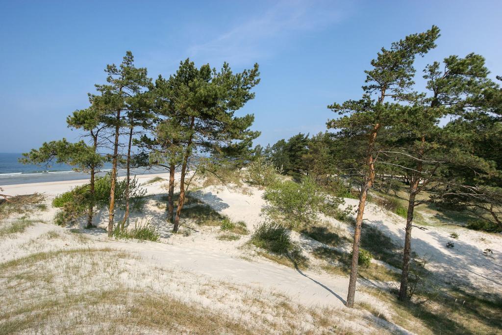Vila Medus 팔랑가 외부 사진